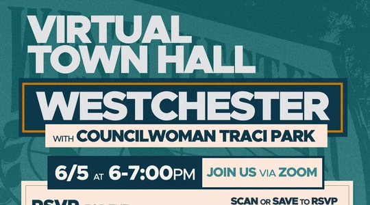 CD11 Community Zoom Meeting - Westchester ED1.jpg
