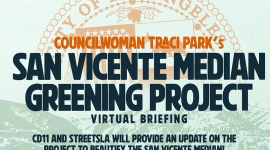 San vicente Median Greening Flyer