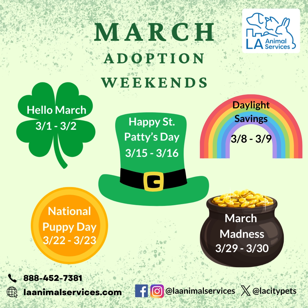 March adoption Graphic